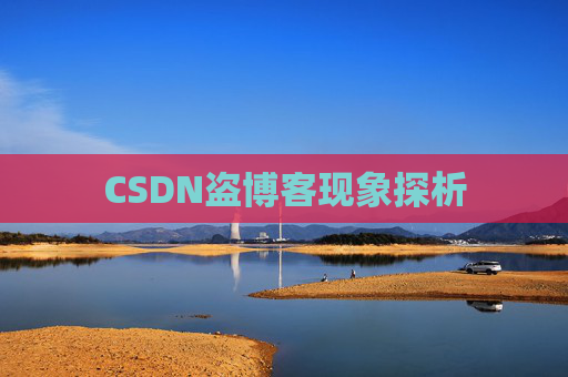 CSDN盗博客现象探析